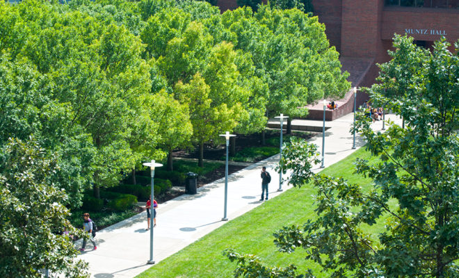 A picture of a campus path