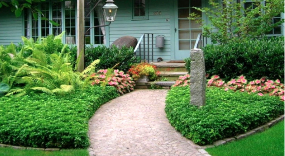 A path in a garden