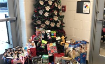 Christmas tree with donated pet supplies