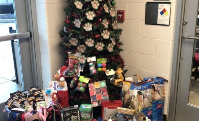 Christmas tree with donated pet supplies